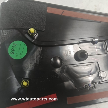 Center door outer panel C00005006