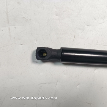 Rear door support rod C00012810