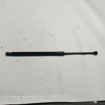Rear door support rod C00012810