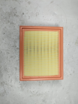 Air Filter C00065836PT