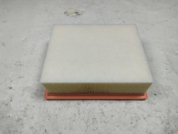Air Filter C00065836PT