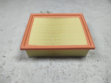 Air Filter C00065836PT